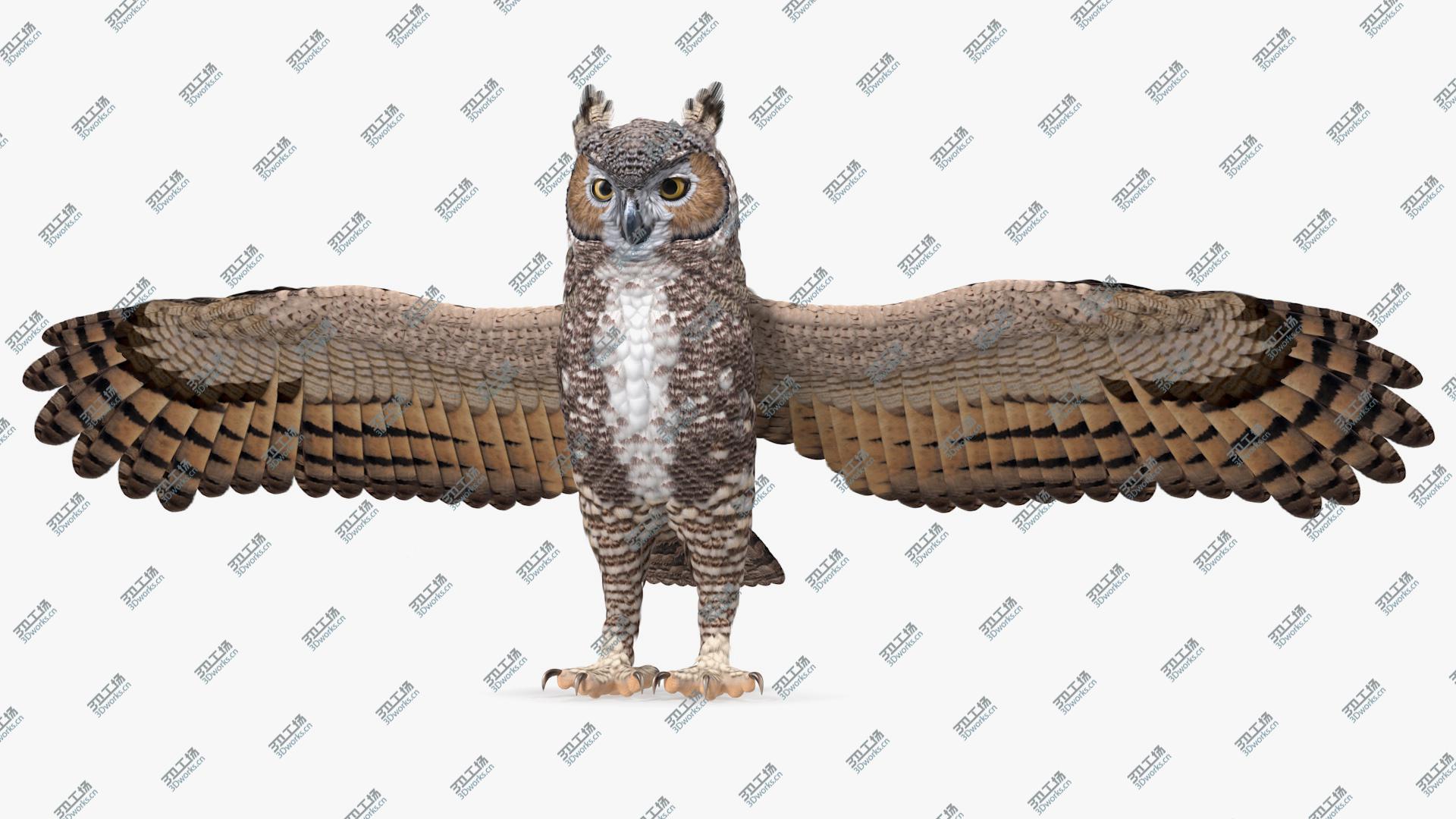 images/goods_img/202104093/Great Horned Owl Rigged 3D model/1.jpg